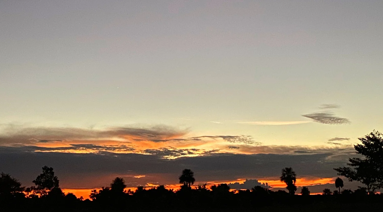 Atardecer sobre la sabana y las palmas de La Macarena
